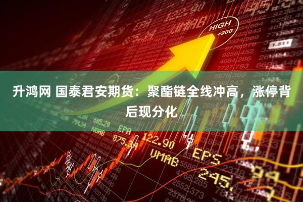 升鸿网 国泰君安期货：聚酯链全线冲高，涨停背后现分化