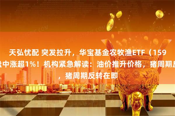 天弘忧配 突发拉升，华宝基金农牧渔ETF（159275）盘中涨超1%！机构紧急解读：油价推升价格，猪周期反转在即