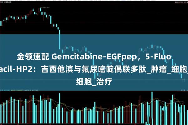 金领速配 Gemcitabine-EGFpep，5-Fluorouracil-HP2：吉西他滨与氟尿嘧啶偶联多肽_肿瘤_细胞_治疗